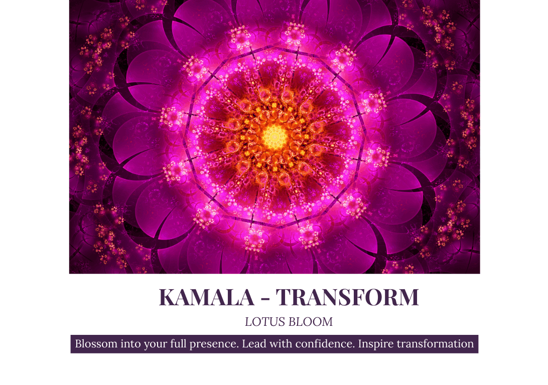 Kamala - Transform